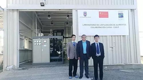 智利海产品真空冷冻干燥技术研究与应用推广项目圆满收官，开启产业升级新篇章
