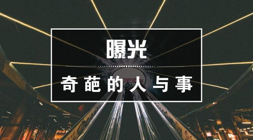 秋招回忆录 上海技术推广岗的奇葩HR与猪队友